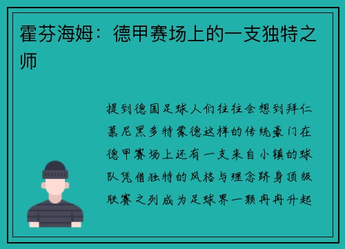霍芬海姆：德甲赛场上的一支独特之师